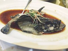 -宝燕壹号(徐汇店)