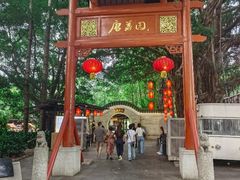 -侨美·唐荔园·40年地道粤菜