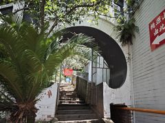 -桃源山庄·水蜜桃采摘·柴火鸡·烧烤团建(龙泉山店)