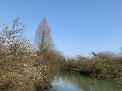 -西溪国家湿地公园