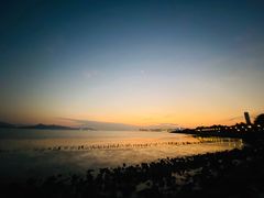 -深圳湾公园(南山区)