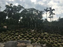 -胡里山炮台