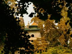 -北京石刻艺术博物馆(五塔寺)