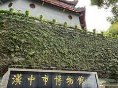 -张明富面皮店(东大街店)