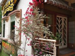 -良木缘咖啡西餐(川大店)