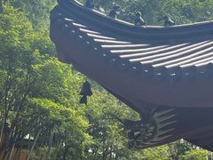 -灵隐飞来峰景区