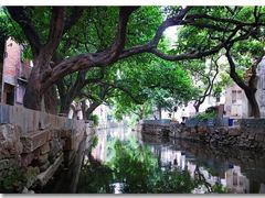 -小洲村