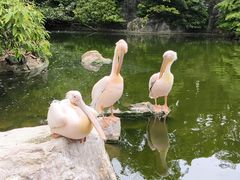 -昆明动物园