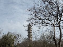 -巢湖姥山岛