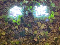 -拿渡·水煮鱼麻辣香锅(王府井奥莱·香江小镇店)