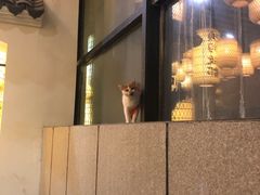 -映像徐州(滨湖店)