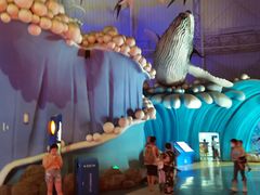 -烟台海昌鲸鲨海洋公园