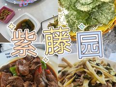 -紫藤园·天目湖大鱼头(南山竹海店)