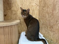 -和它·交个朋友·狗咖猫咖(爱琴海店)