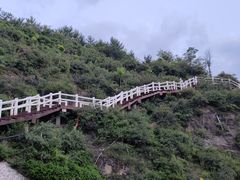 -五龙城郊森林公园