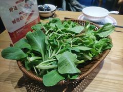 -老凯俚酸汤鱼(多彩城店)