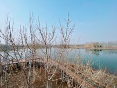 -东郊湿地公园