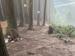 -太阳湾风景区