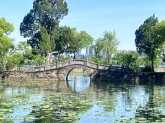 -无锡蠡湖国家湿地公园-蠡园