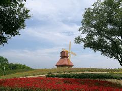 -杭州湾海上花田景区