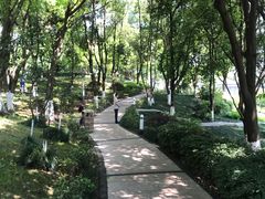 -两江幸福广场