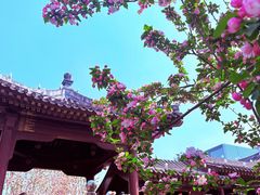 -元大都城垣遗址公园