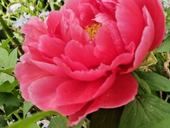 -玄武湖景区-情侣园游乐场