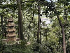 -黔灵山公园