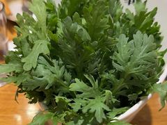 -今日牛事潮汕鲜牛肉火锅(瑞金店)