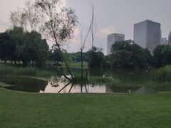 -裕华世纪公园