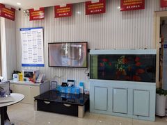 -中科领军口腔