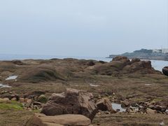 -燕儿岛山公园