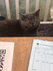 -卡尔诗·科技美肤连锁