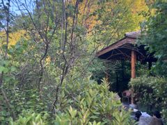 -麦积山温泉