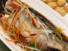 -桃子餐厅·天津菜(红星路直营店)