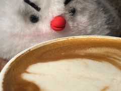 -萨尔瓦多Salvador's