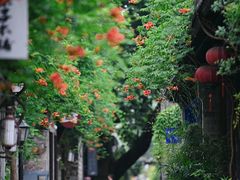 -老门东历史文化街区