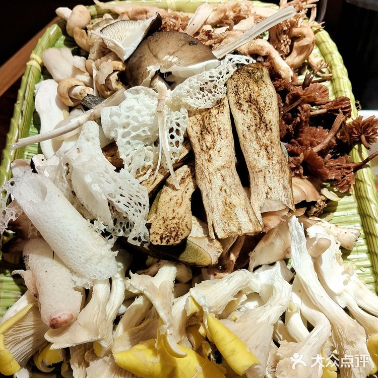 滋补好汤养身体