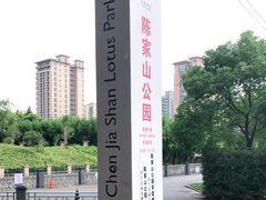 -陈家山荷花公园