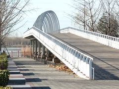 -大兴滨河森林公园