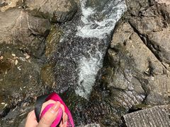 -广州白江湖森林公园