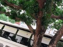 -大馆(前中区警署建築群)