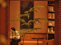 -二酉书店TOYOU BOOKS