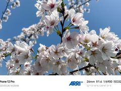 -花开海上生态园