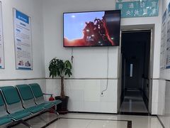 -派美特宠物医院·核磁CT·骨科肿瘤·疑难转诊(沈农禾丰店)