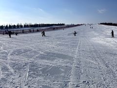 -呼兰河口湿地公园