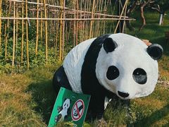 -武汉动物园