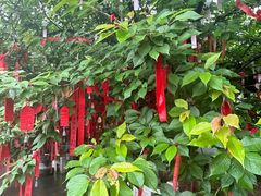 -祥源·阜阳生态乐园