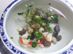 -榕树上·瑜伽普拉提