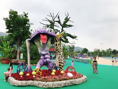 -苏州乐园森林水世界